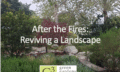 After the Fires